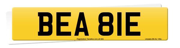 Registration number BEA 81E