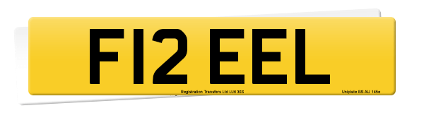 Registration number F12 EEL