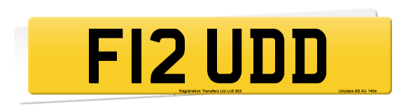 Registration number F12 UDD