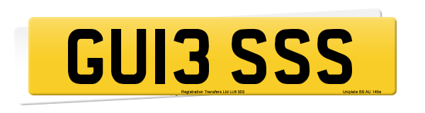 Registration number GU13 SSS
