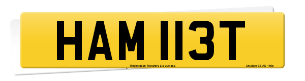 Registration number HAM 113T