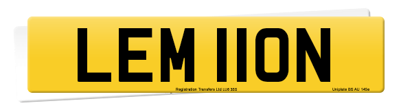 Registration number LEM 110N