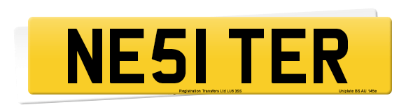Registration number NE51 TER