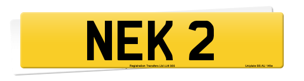 Registration number NEK 2