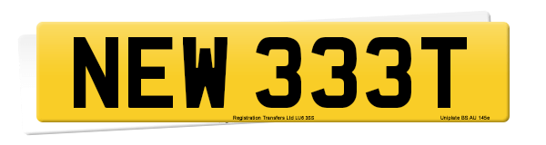 Registration number NEW 333T