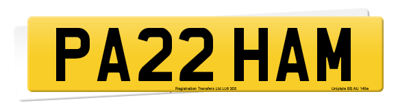Registration number PA22 HAM