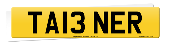 Registration number TA13 NER