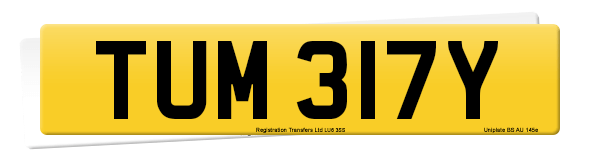 Registration number TUM 317Y