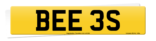 Registration BEE 3S