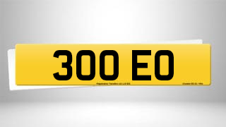 Registration 300 EO