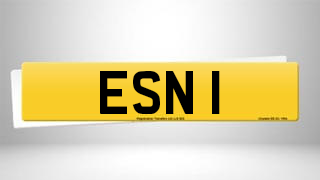 Registration ESN 1