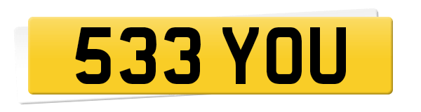 Registration 533 YOU