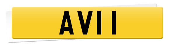 Registration AVI 1