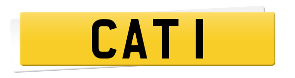 Registration CAT 1