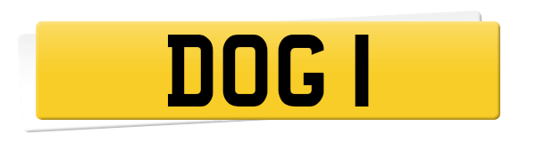 Registration DOG 1