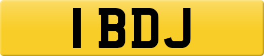 1BDJ