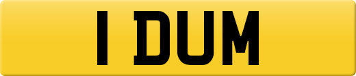 1DUM