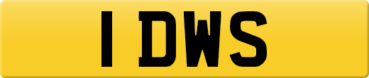 1DWS