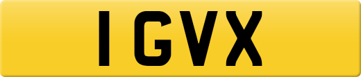 1GVX