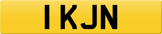 1KJN