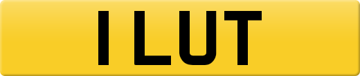 1LUT