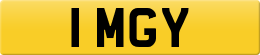 1MGY