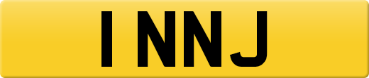 1NNJ
