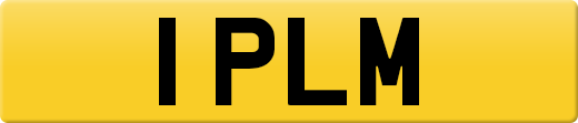 1PLM
