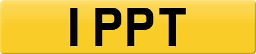 1PPT