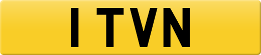 1TVN