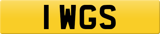 1WGS