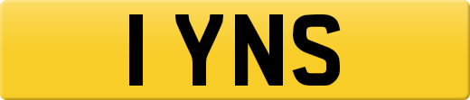 1YNS