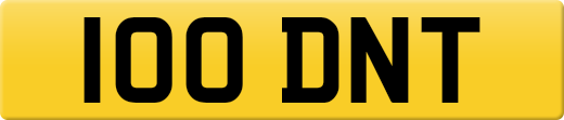 100DNT