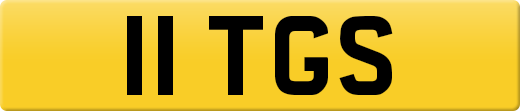 11TGS