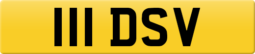 111DSV