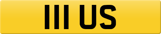 111US
