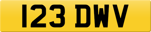 123DWV