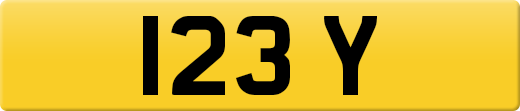123Y