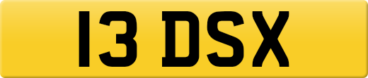 13DSX