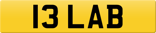 13LAB