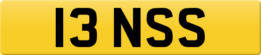 13NSS