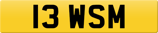 13WSM