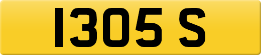1305S