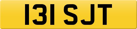 131SJT