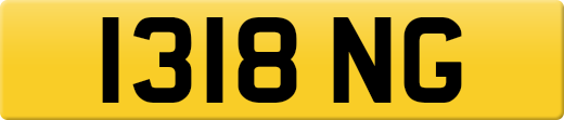 1318NG