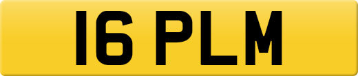 16PLM