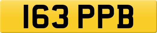 163PPB