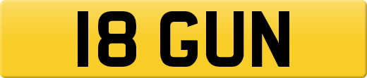 18GUN