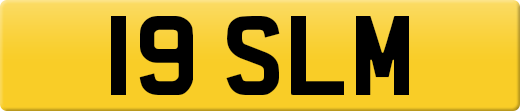 19SLM