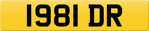 1981DR